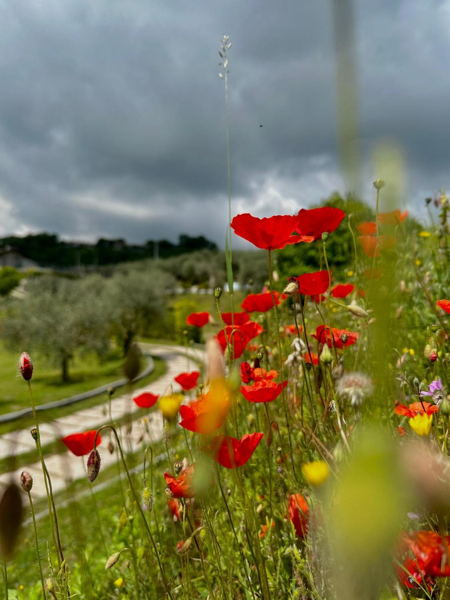 Holiday Home Sovenigo Puegnago sul Garda Exterior foto